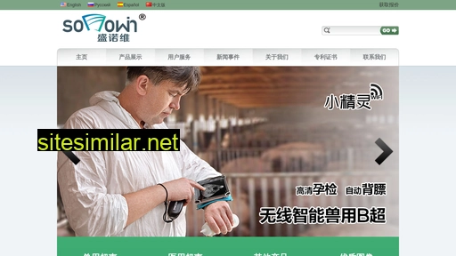 sonowin.com.cn alternative sites