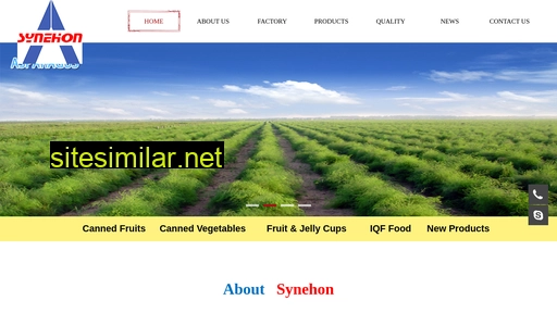 synehon.com.cn alternative sites