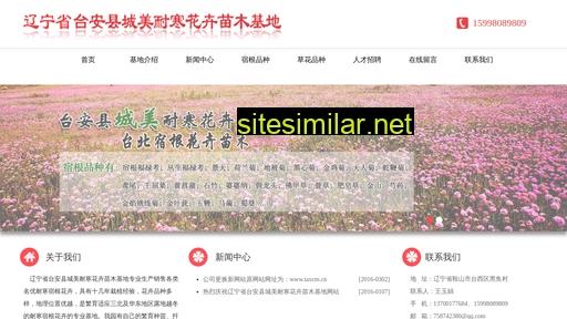 tacmhh.cn alternative sites
