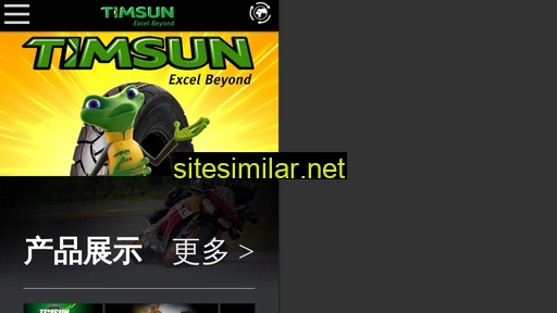 timsun.com.cn alternative sites