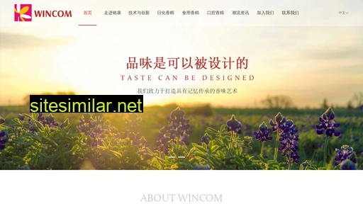 wincom.net.cn alternative sites