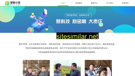 wiseloan.cn alternative sites