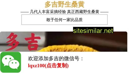 xinyujiazheng.cn alternative sites