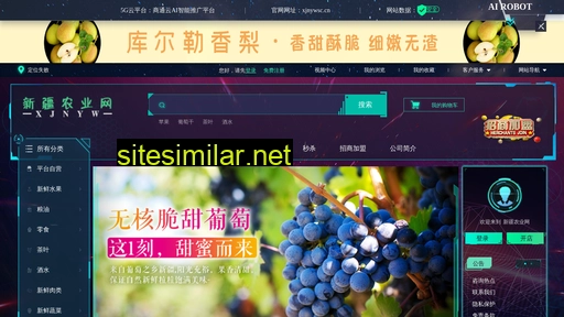 xjnywsc.cn alternative sites