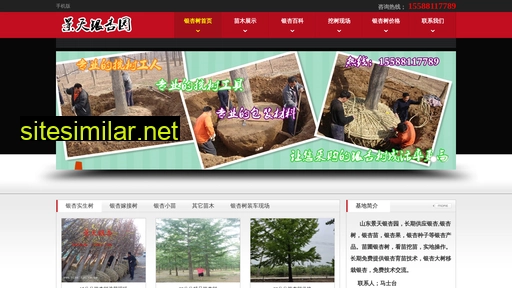 yinxingmiao.cn alternative sites