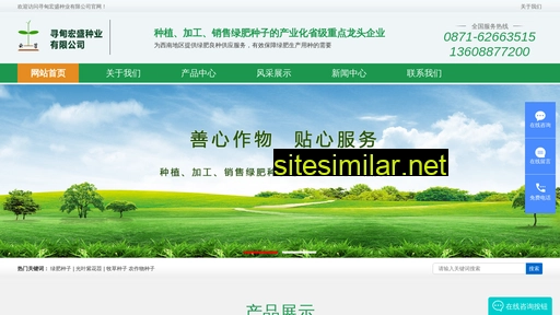 ynlfzz.cn alternative sites