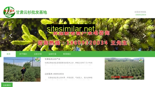 yunshanm.cn alternative sites
