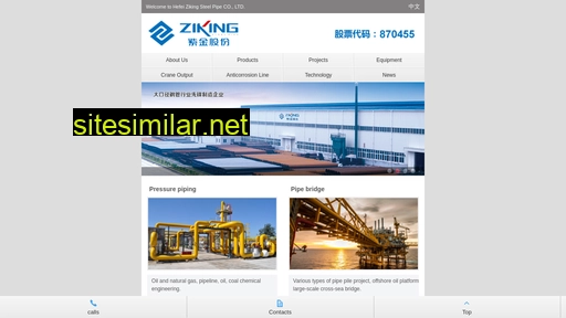 ziking.cn alternative sites
