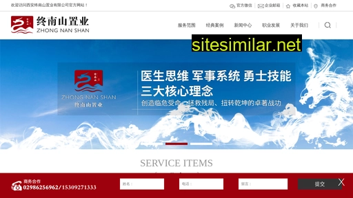 zns-zy.cn alternative sites