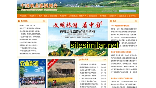 znys.org.cn alternative sites