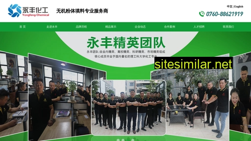 zsyongfeng.com.cn alternative sites