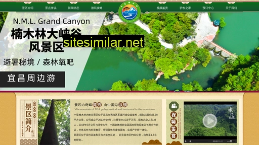 zynml.com.cn alternative sites