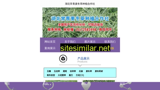 zzhxhs.cn alternative sites