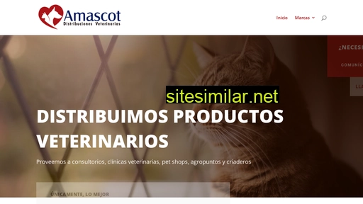 amascot.co alternative sites