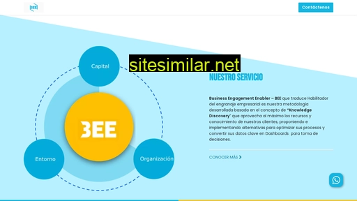 beedata.co alternative sites