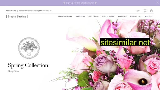 bloomservice.co alternative sites