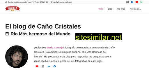 canocristales.co alternative sites