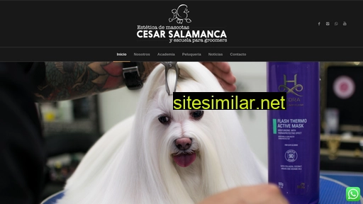 cesarsalamanca.com.co alternative sites