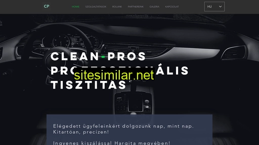 clean-pros.co alternative sites