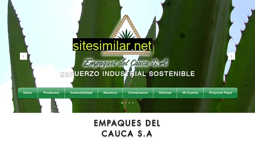 empaquesdelcauca.com.co alternative sites