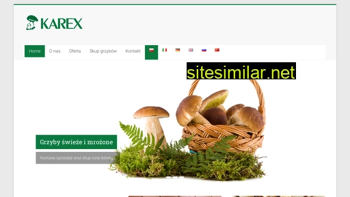 karex.co alternative sites