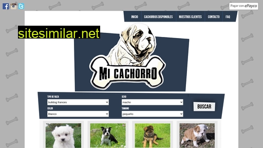 micachorro.com.co alternative sites