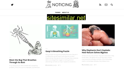 noticing.co alternative sites