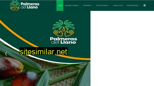 palmar.com.co alternative sites