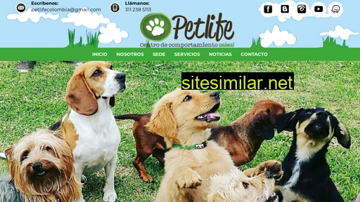 petlifecolombia.com.co alternative sites