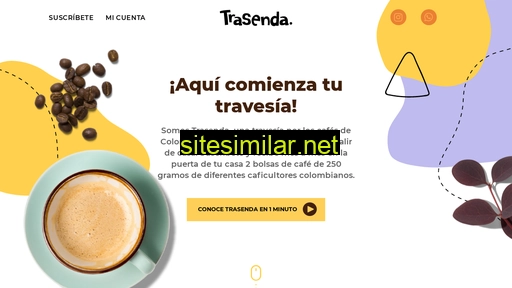 trasenda.co alternative sites