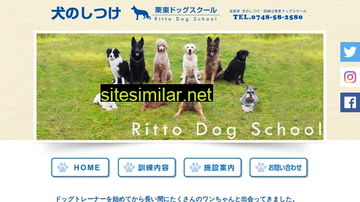 56-dog.com alternative sites