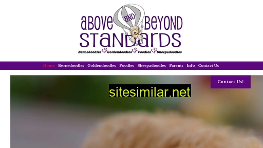 aboveandbeyondstandards.com alternative sites