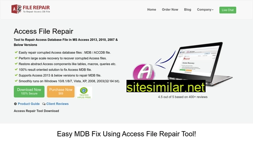 accessfilerepair.com alternative sites
