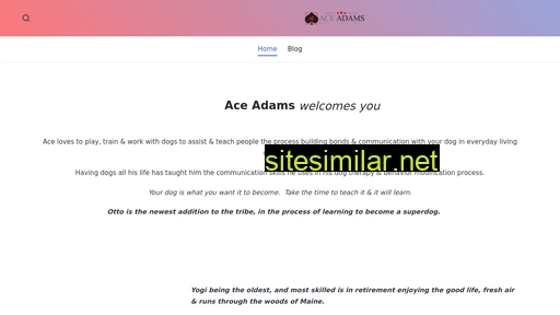 aceadams.com alternative sites
