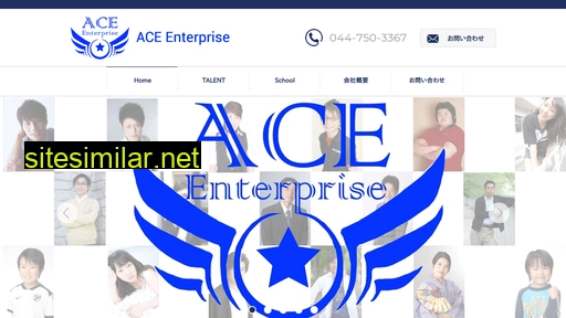 ace-enterprise.com alternative sites