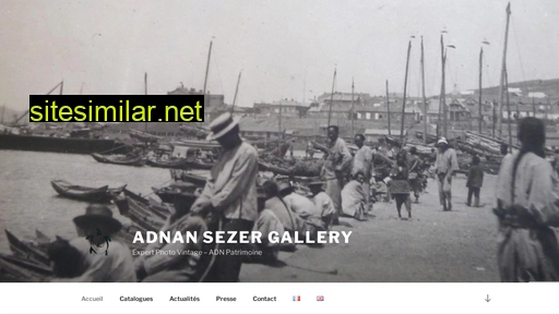 adnan-sezer-gallery.com alternative sites