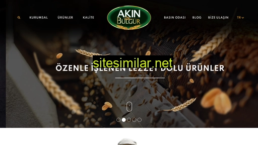 akinbulgur.com alternative sites