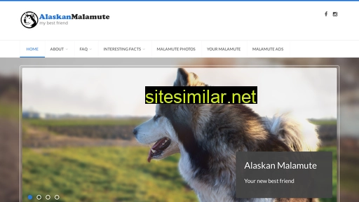 Alaskan-malamutes-info similar sites