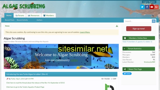 algaescrubbing.com alternative sites