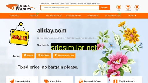 aliday.com alternative sites