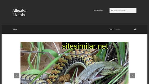 alligatorlizards.com alternative sites