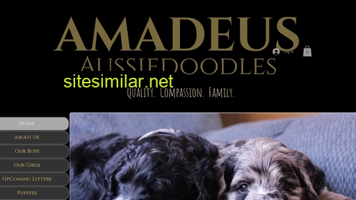 amadeusaussiedoodles.com alternative sites