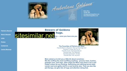 amberlanegoldens.com alternative sites