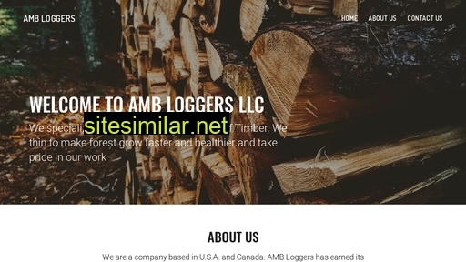 ambloggers.com alternative sites