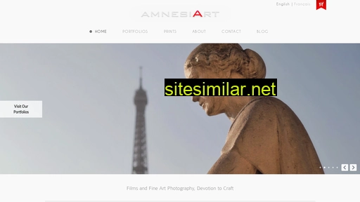 amnesiart.com alternative sites