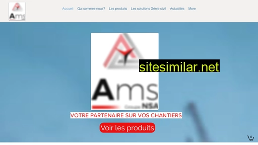 ams-nsa.com alternative sites