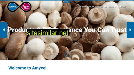 amycel.com alternative sites