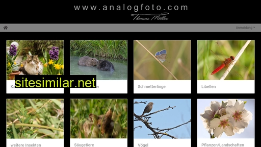 analogfoto.com alternative sites