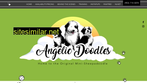 angelicdoodles.com alternative sites