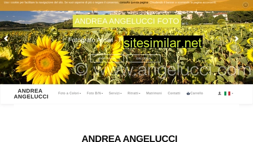 angelucci.com alternative sites
